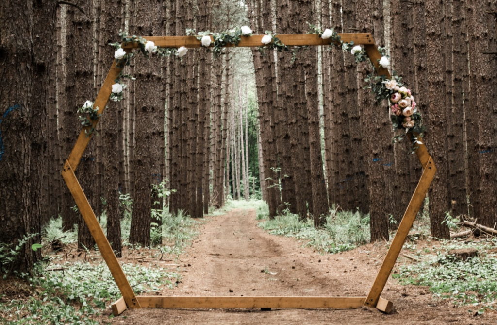 12 Beautiful Wedding Arch Ideas